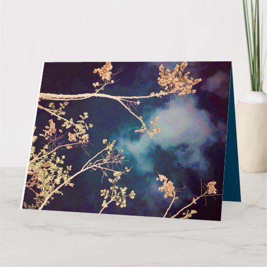 Carte bleue de minuit (Devant)