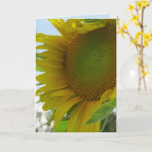 Carte bleue et friendly flower (Fleur jaune)