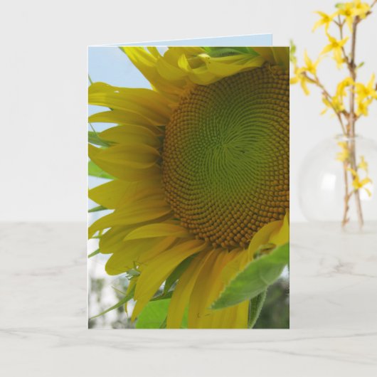 Carte bleue et friendly flower (Fleur jaune)