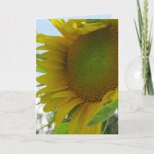 Carte bleue et friendly flower