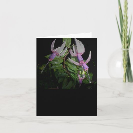 Carte Bleue Fushia Note (Devant)