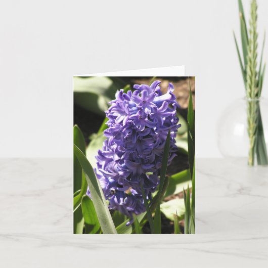 carte bleue Hyacinth (Devant)