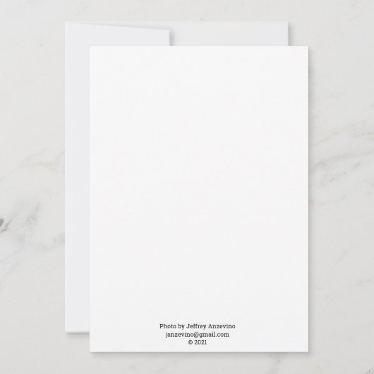 Carte bleue Jay Flat (Dos)