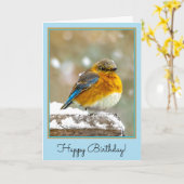Carte Bleuet de l'Est en neige - Photo originale (Fleur jaune)