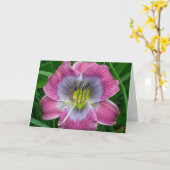 Carte Bleus de Dixie de Daylily ' (Fleur jaune)
