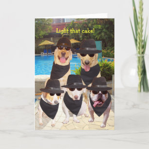 Carte Bleus Funny personnalisable Chiens/Laboratoires An