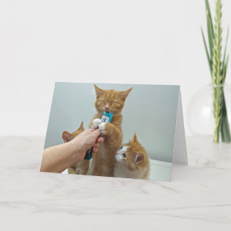 Carte "Bliss" - Huey et son gâteau préféré