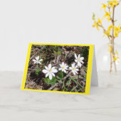 Carte Bloodroot II Blair Note (Fleur jaune)