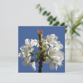 Carte Bloom du printemps blanc (Debout devant)