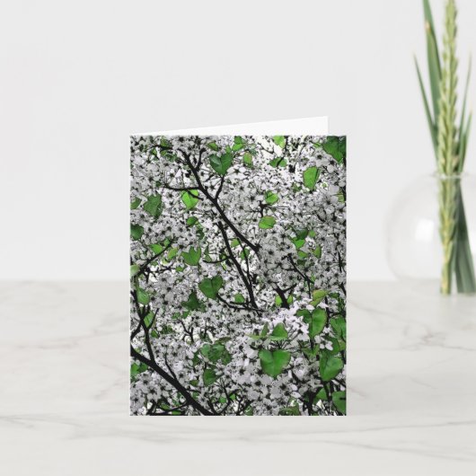 CARTE "BLOSOMES DU PRINTEMPS SUR L'ARBRE (BLANC/VERT) (Devant)