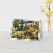 Carte Blossoms de White and Pink (Fleur jaune)