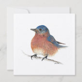 Carte Blue Bird (Devant)