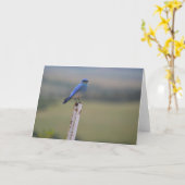 Carte Blue Bird Note (Fleur jaune)