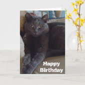 Carte Blue de Russian (Fleur jaune)