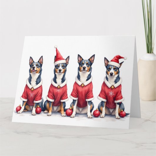 Carte Blue Heeler Christmas Dress Santa Hat (Devant)