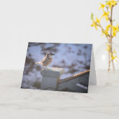 Carte Blue Jay (Fleur jaune)