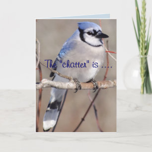 Carte Blue Jay 8883- customisez toute occasion