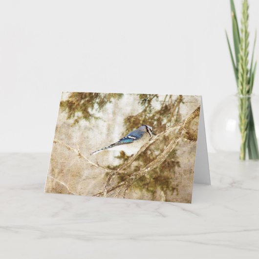 Carte Blue Jay, Anniversaire (Devant)