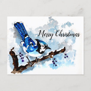 Carte Blue Jay Winter Holiday