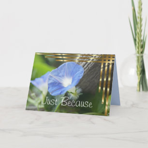 Carte Blue Morning Glory - vide à l'intérieur