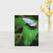 Carte Blue Morpho 112 (Fleur jaune)