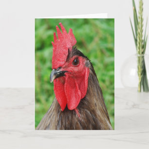 Carte Blue Rooster