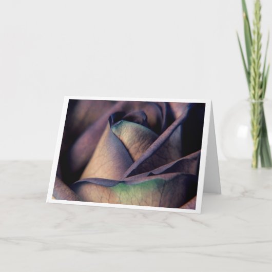 Carte Blue Rose Close (Devant)