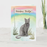 Blue Russe Chat Pet Sympathie sur Rainbow Bridge
