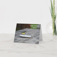 Blue Tit Bird Nourrir Joyeux Anniversaire