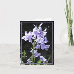 Carte Bluebells