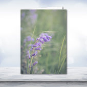 Carte Bluebells Dans La Note Vent