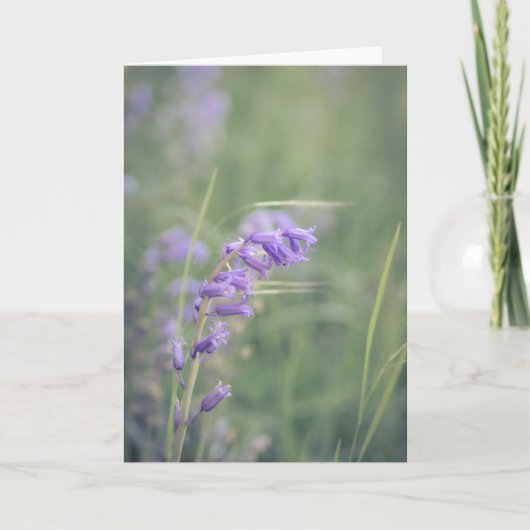 Carte Bluebells Dans La Note Vent (Devant)