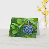 Carte Blueberries (Fleur jaune)