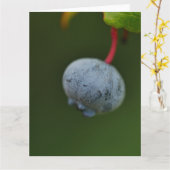 Carte Blueberry (Fleur jaune)