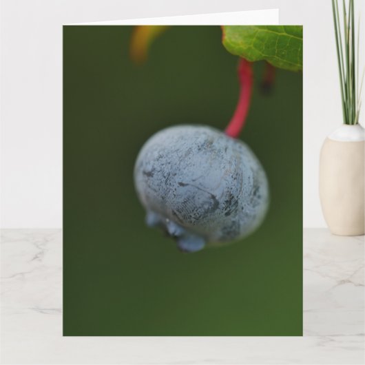 Carte Blueberry (Devant)