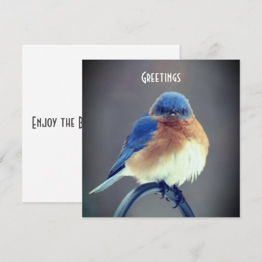 Carte Bluebird (Devant / Derrière)