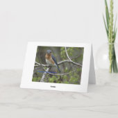 Carte Bluebird, Birthday (Dos)