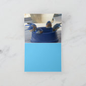 Carte Bluebird of Happiness (Intérieur)