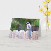 Carte Bluebird On Fence Scripture Card Psaume 91:2 (Fleur jaune)