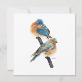 Carte Bluebird Pair belle aquarelle (Devant)