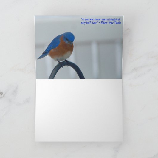 Carte Bluebirds (Intérieur)