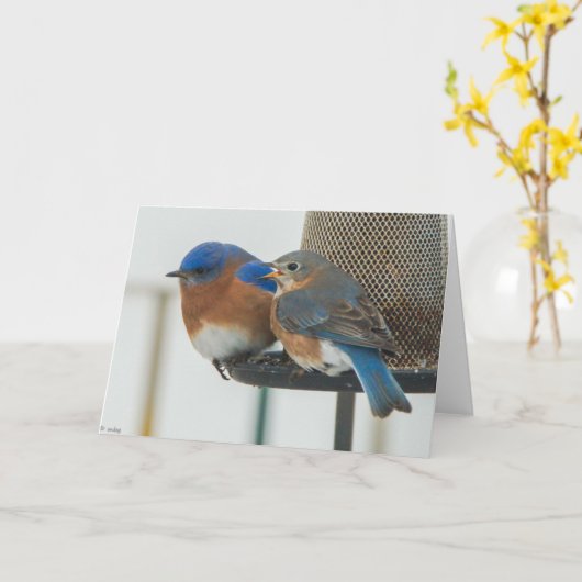 Carte Bluebirds (Fleur jaune)