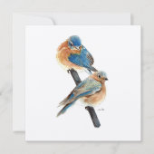 Carte Bluebirds Couple Aquarelle Art (Devant)