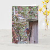 Carte Bluebirds de l'Est (Fleur jaune)