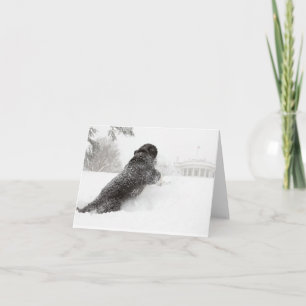 Carte Bo Obama Note - Motifs Sud