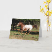 Carte Bob Langrish | Appaloosa Horse Running (Fleur jaune)