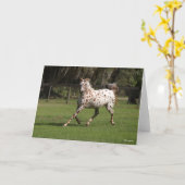 Carte Bob Langrish | Appaloosa Running (Fleur jaune)