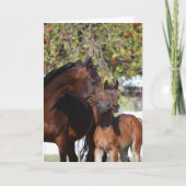 Carte Bob Langrish | Arab Mare and Foal Standing (Devant)