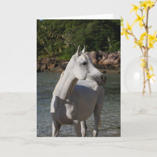 Carte Bob Langrish Arab Mare Debout Dans Un Casque D'Eau (Fleur jaune)