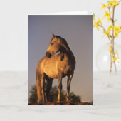 Carte Bob Langrish | Arab Standing On Hill At Sunset (Fleur jaune)